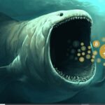 Bitcoin stalls after reaching $48,000, Whale activity remains strong