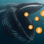 Bitcoin (BTC) Whale Trade Indicates Recovery From $40k, Here’s Why 