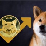 Shiba Inu (SHIB) Surges 21%, Here’s Why It Will Continue To Rise