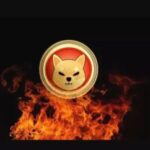 Do These SHIB Tokens Burn Mean Recovery For Shiba Inu?Â 