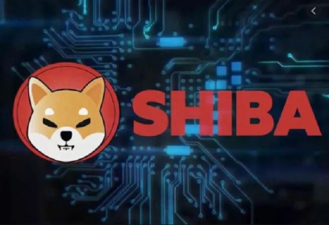 Ryoshi, Shiba Inu Founder Deletes All Social Media Information