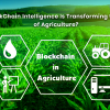 Application And Importance Of Blockchain In Agriculture