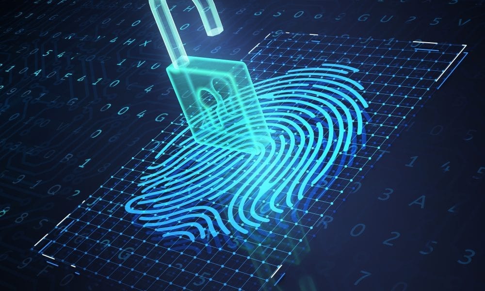 Digital Identity in the Blockchain Age – Balancing Security and Privacy