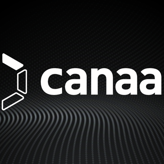 Q4 sales fell 82% for bitcoin ASIC maker Canaan