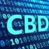 How to Build Wealth with CBDCs - Opportunities and Risks to Consider