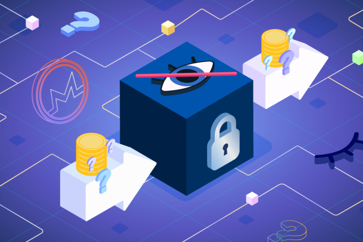 Privacy Coins - Understanding Their Purpose and Risks