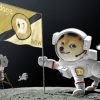 Dogecoin (DOGE) Rises Before SpaceX Starship Launch