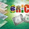 BRICS Currency Negotiations Are Ongoing