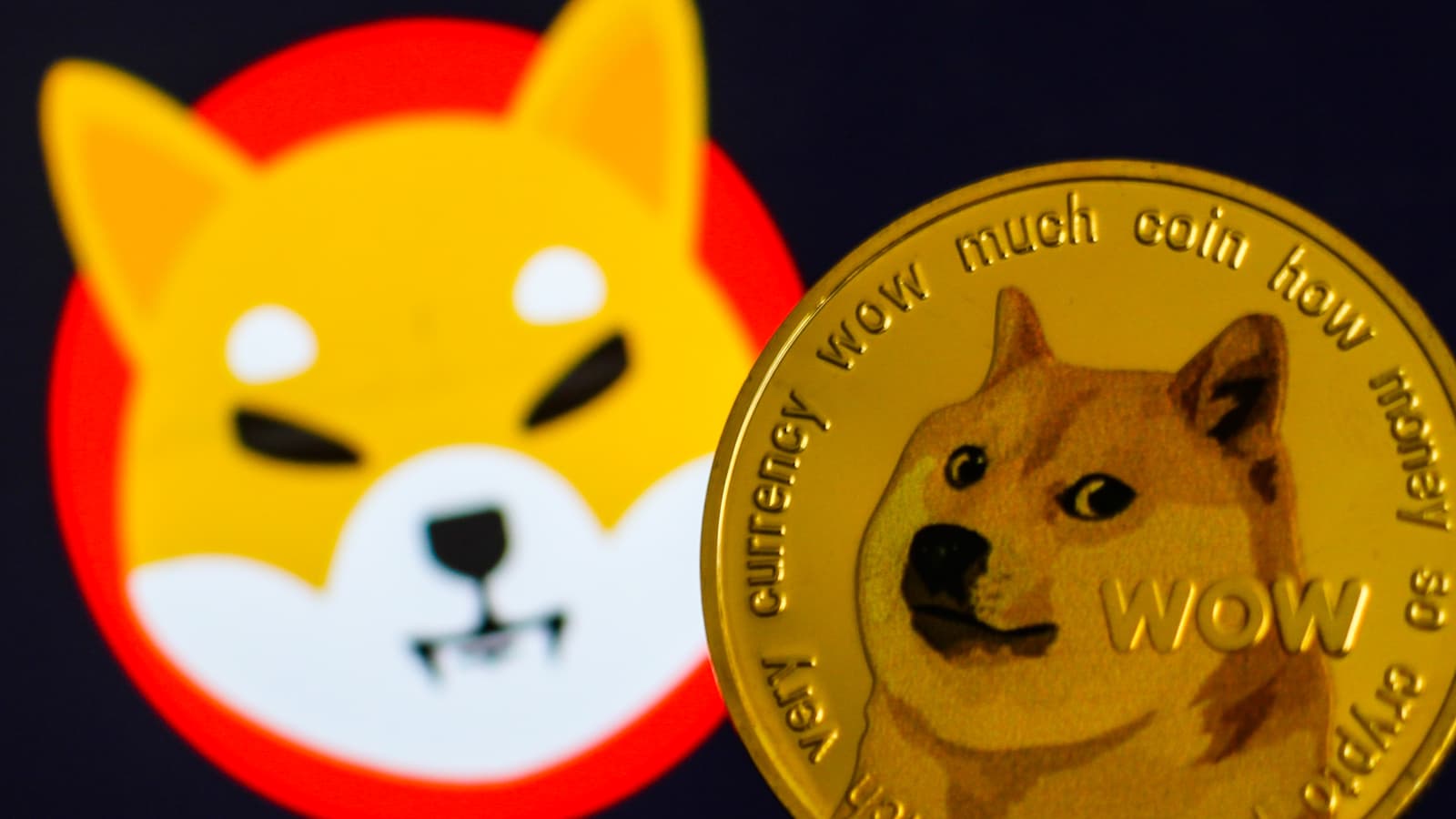 Shiba Inu (SHIB) Remains #1 Meme-coin in U.S.