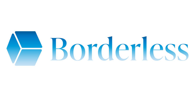 Borderless Capital Funds Wormhole Startups