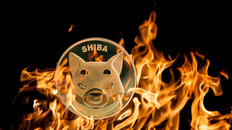 SHIB Token Burn Sparks 1,619% Increase in Combustion Rate