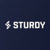 Sturdy Finance Resumes Stablecoin Trading