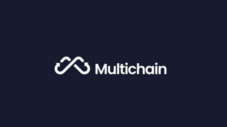 Multichain Suspends Operations