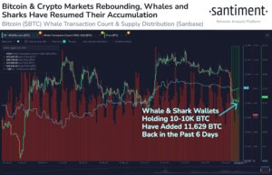 Bitcoin Whales Active, Did Robinhood Buy $3B BTC