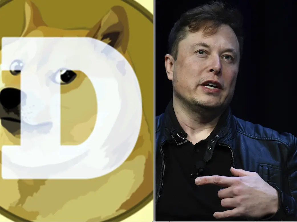 Dogecoin: Elon Musk Says X is Dog-Friendly