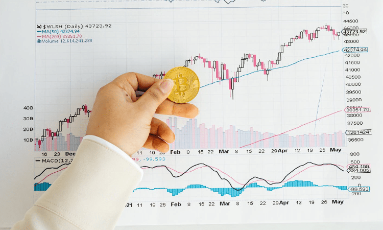 A Trader’s Guide to Navigating Crypto Volatility