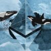 Whales Capitalize: Ethereum ($ETH) Accumulation Soars to $94M