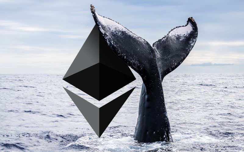 Whale's Aggressive $17.2M ETH Sell Triggers $2.9M Deficit