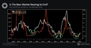 Crypto Market Signals, New Bull Cycle Ahead