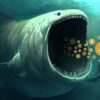 Bitcoin Whales Drive Price Surge
