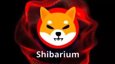 Shibarium Launch Raises Exploitation Concerns
