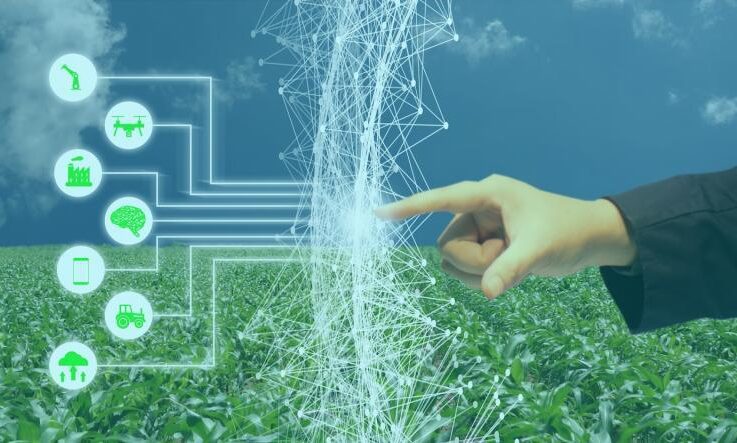 Leveraging Blockchain for Sustainable Agriculture