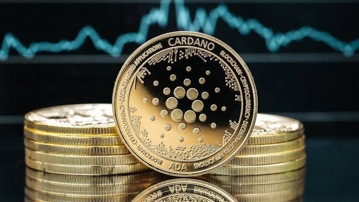 Cardano Billionaires Reshuffle Holdings Amid ADA's Struggles