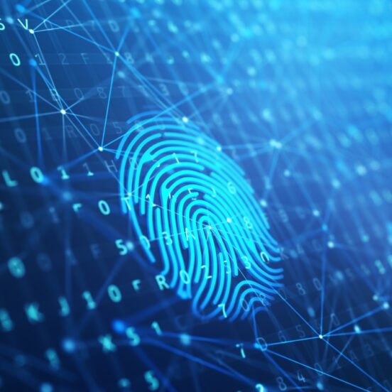 Digital Identity Verification and Blockchain - A Perfect Match