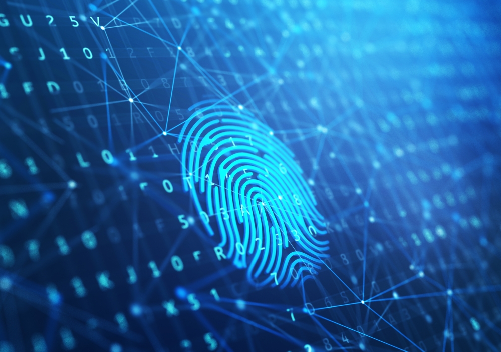 Digital Identity Verification and Blockchain - A Perfect Match