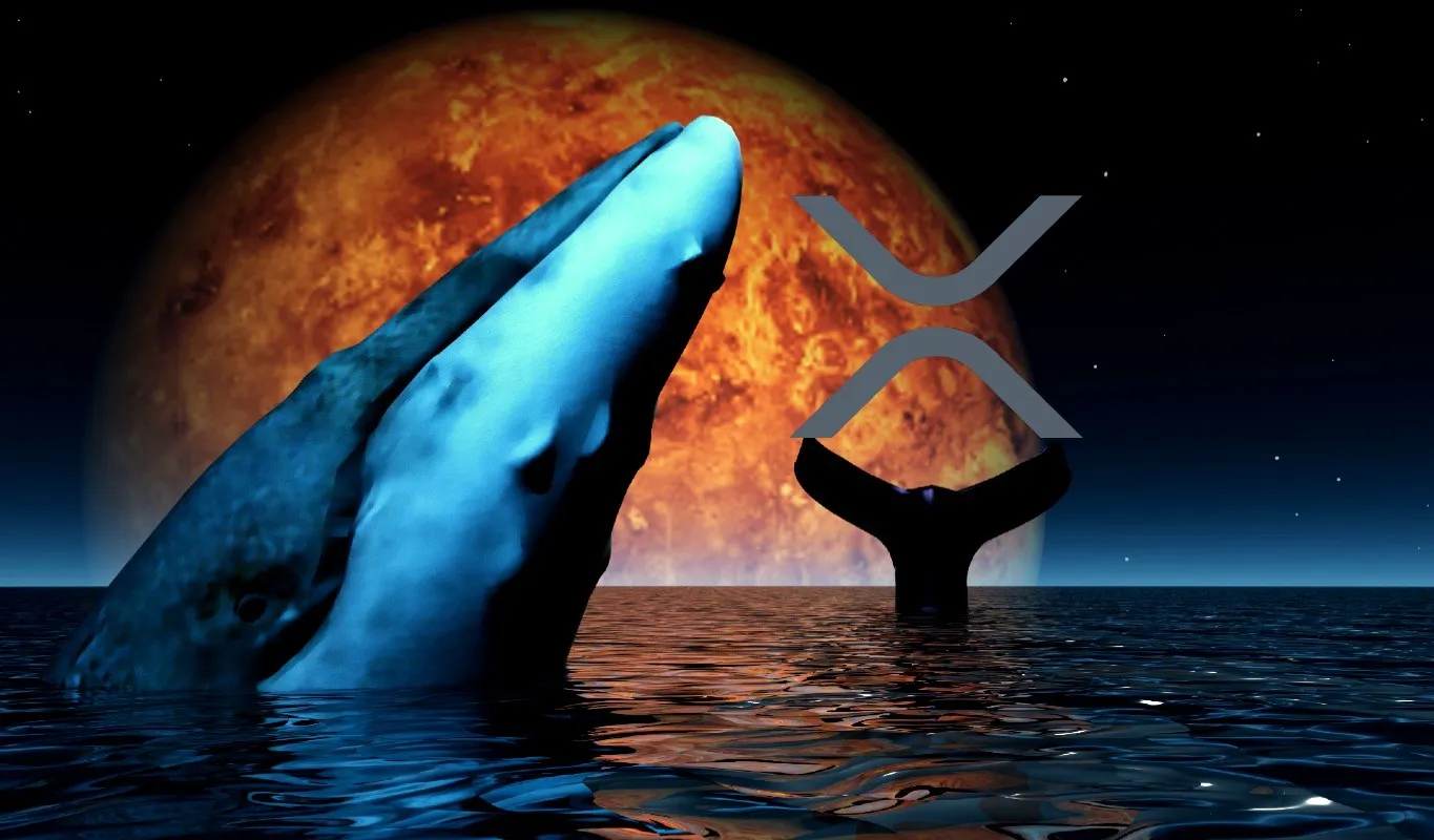Market Focuses on XRP Whale Activity Amid Deaton’s Legal Battle