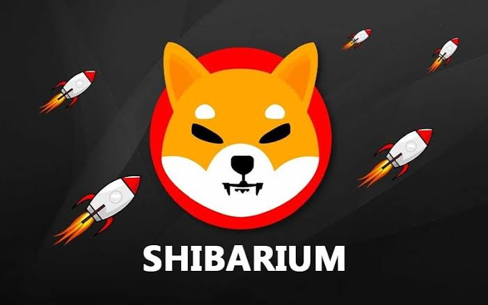 Shibarium’s Latest Node Provider, New Plans unveils