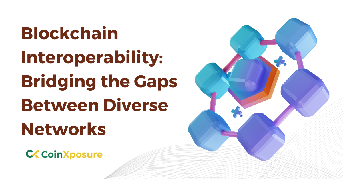 Blockchain Interoperability - Bridging the Gaps Between Diverse Networks