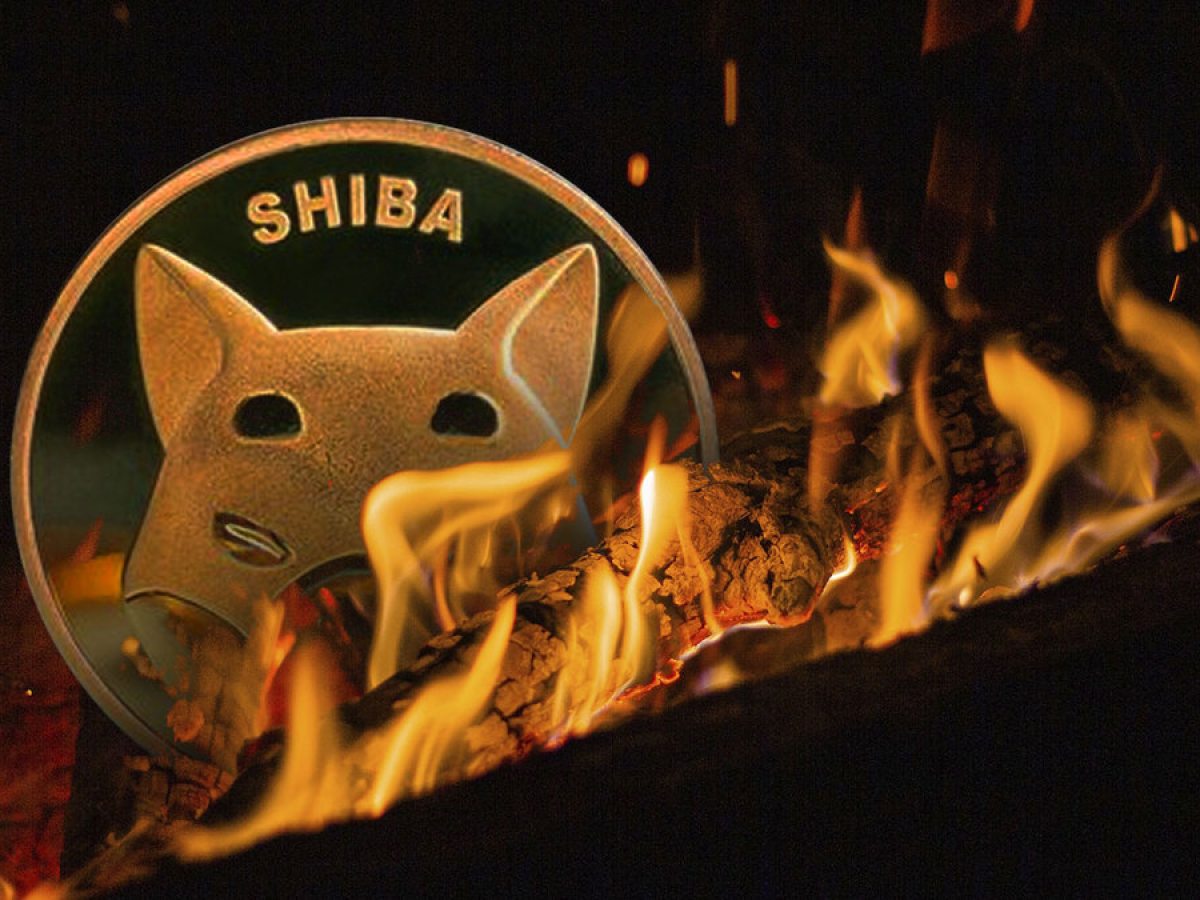 Burning SHIB: 24-Hour Analysis, Market Trends