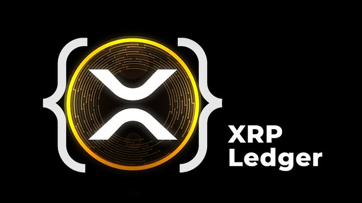 XRP Ledger Welcomes New Developer Feature