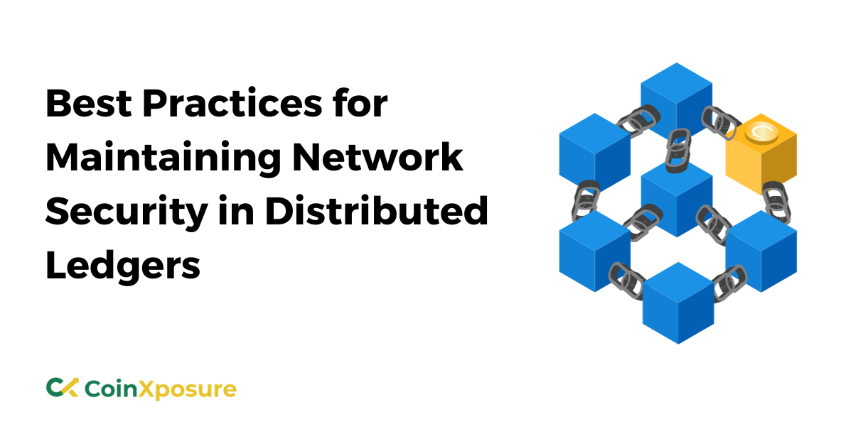 Best Practices for Maintaining Network Security in Distributed Ledgers