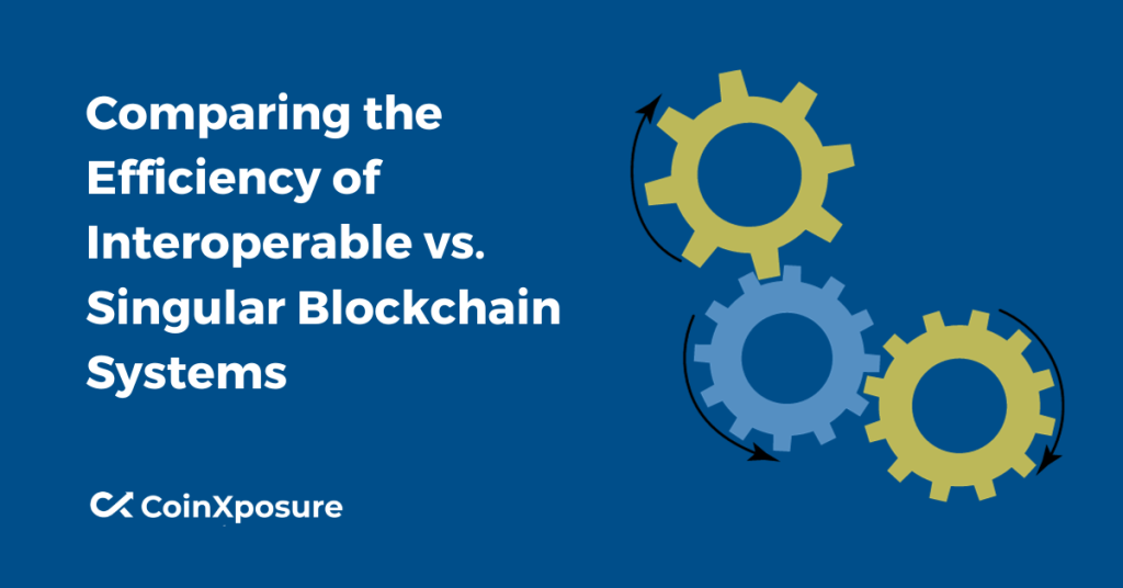 Comparing the Efficiency of Interoperable vs. Singular Blockchain Systems