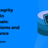 Data Integrity Checks in Blockchain - Mechanisms and Importance