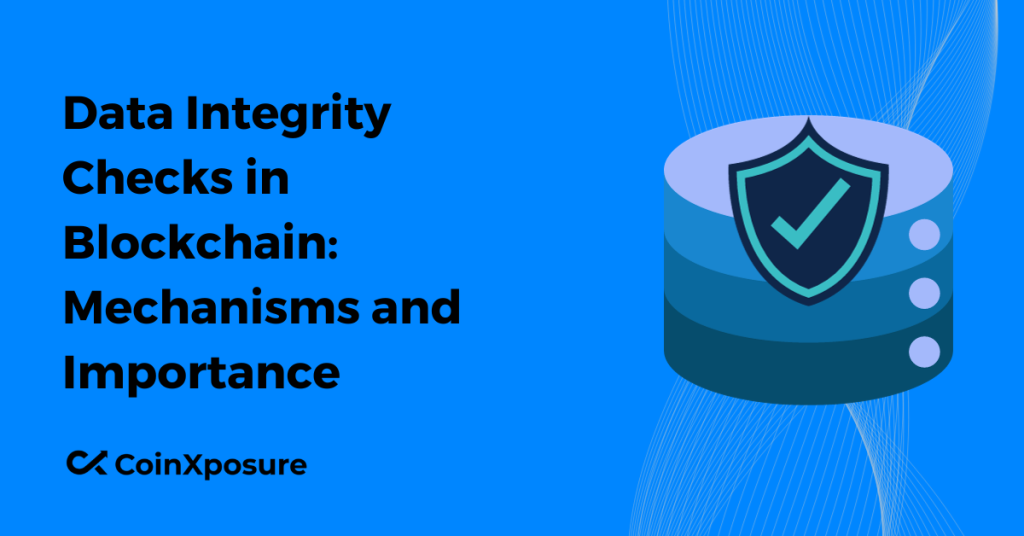 Data Integrity Checks in Blockchain - Mechanisms and Importance