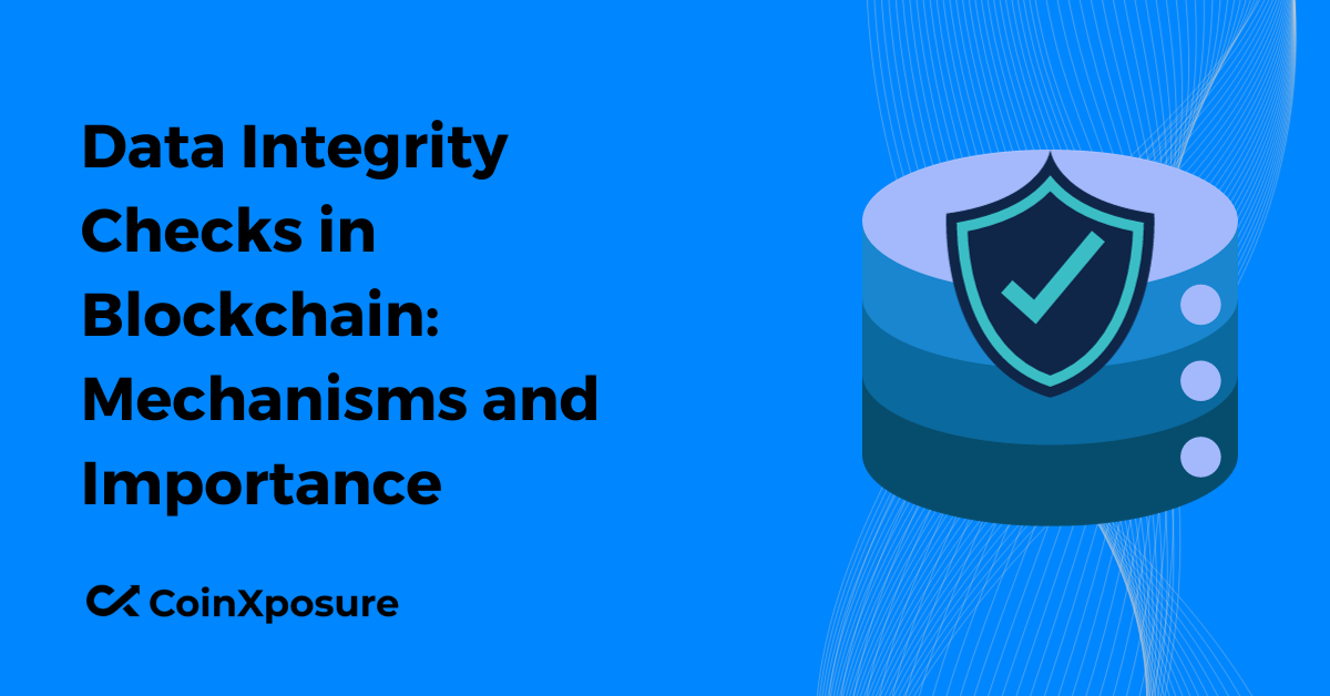 Data Integrity Checks in Blockchain – Mechanisms and Importance