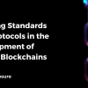 Evolving Standards and Protocols in the Development of Hybrid Blockchains