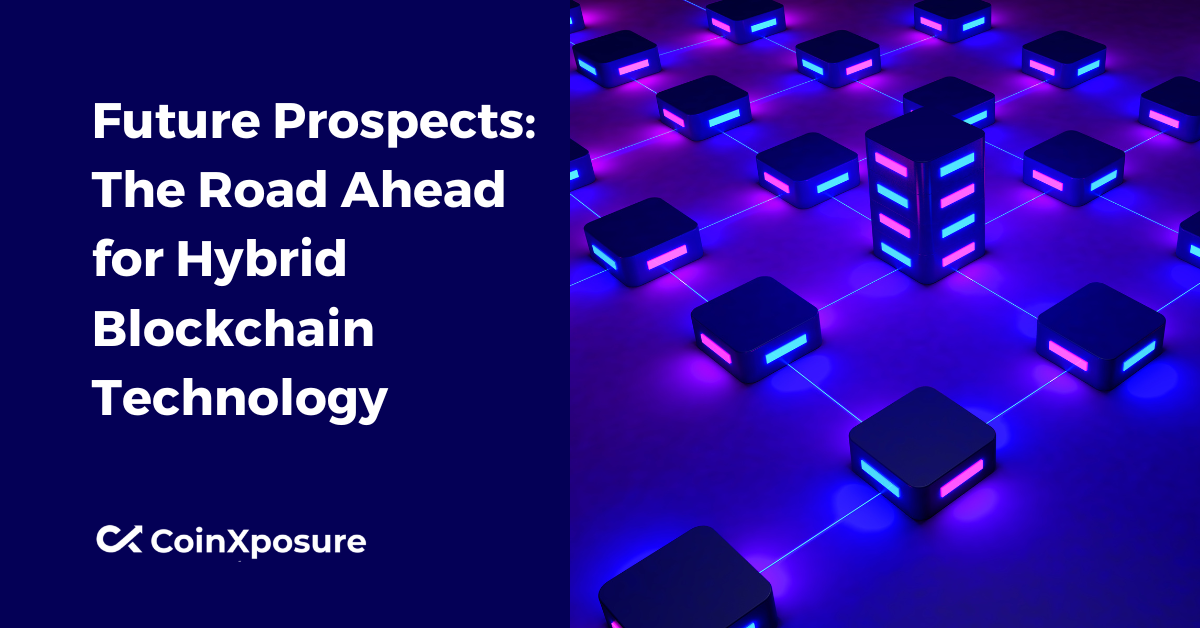 Future Prospects - The Road Ahead for Hybrid Blockchain Technology