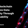 How Blockchain Achieves Data Integrity Through Immutability