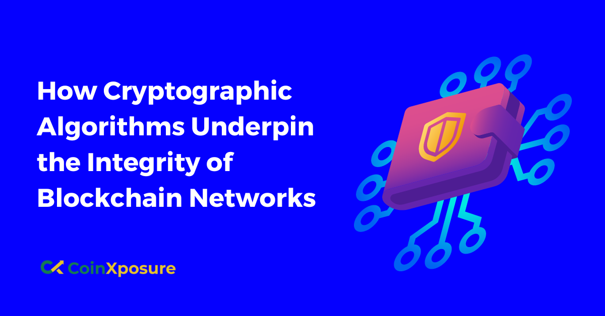 How Cryptographic Algorithms Underpin the Integrity of Blockchain Networks