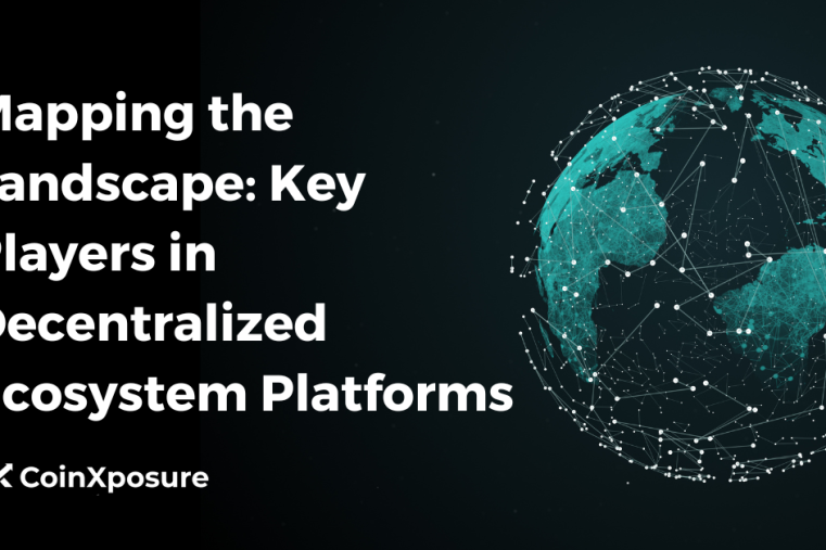 Mapping the Landscape - Key Players in Decentralized Ecosystem Platforms