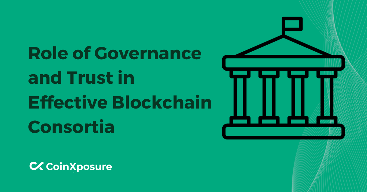 Role of Governance and Trust in Effective Blockchain Consortia