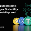 Tackling Stablecoin's Challenges: Scalability, Interoperability, and Privacy 