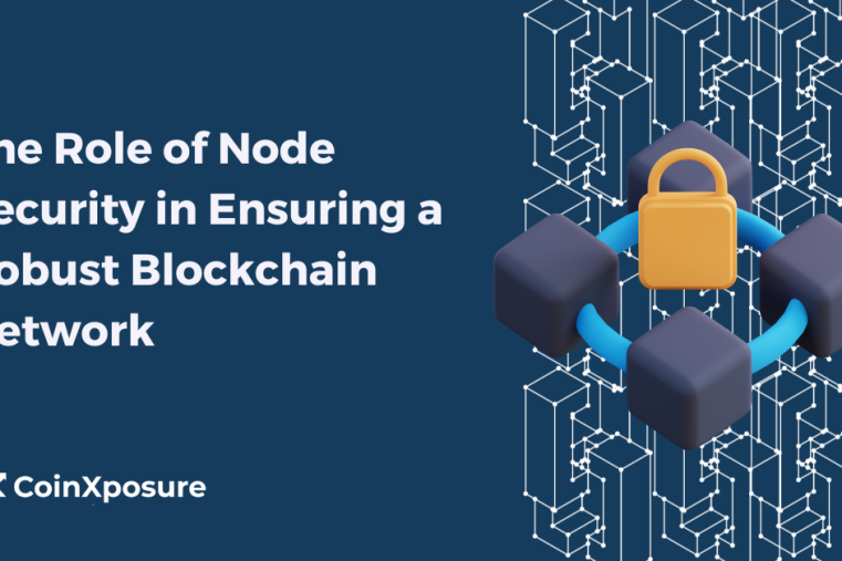 The Role of Node Security in Ensuring a Robust Blockchain Network