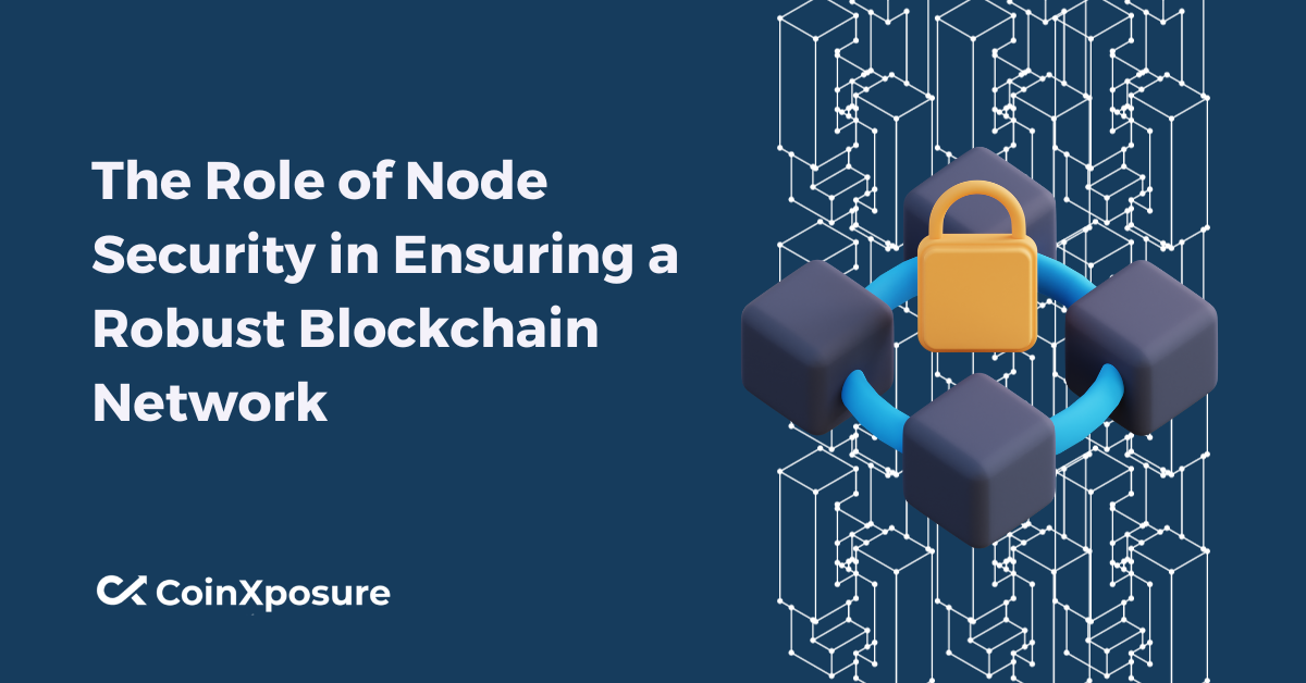 The Role of Node Security in Ensuring a Robust Blockchain Network