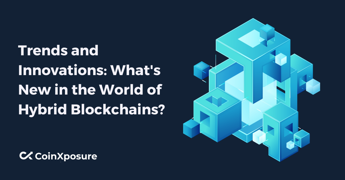 Trends and Innovations – What’s New in the World of Hybrid Blockchains?