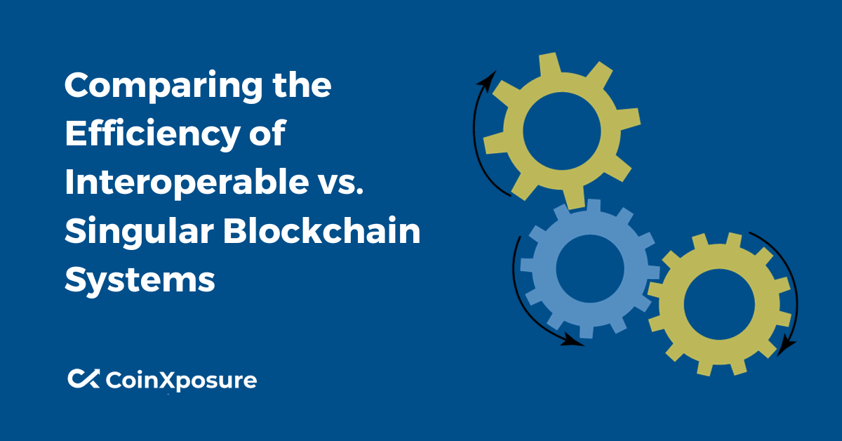 Comparing the Efficiency of Interoperable vs. Singular Blockchain Systems